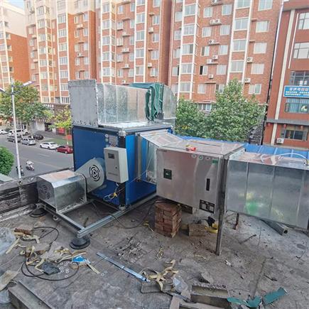 宜阳李胖子饭店油烟净化
